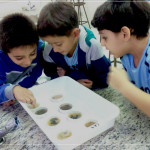 Experiência 2ºB Fundamental